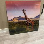 Glas schilderij giraffe color