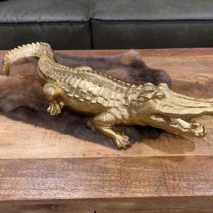 Krokodil groot 50cm goud