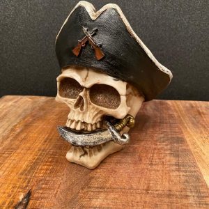 Steampunk skull piraat